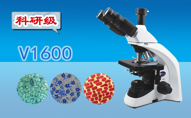 生物顯微鏡.png 生物顯微鏡.png